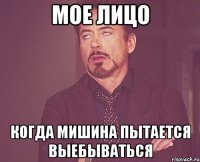 Мое лицо Когда Мишина пытается выебываться