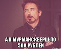  А в Мурманске ерш по 500 рублей