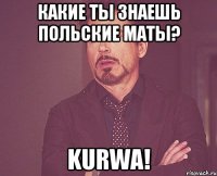 Какие ты знаешь польские маты? Kurwa!