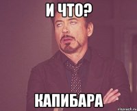 И ЧТО? КАПИБАРА