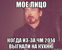 Мое лицо когда из-за ЧМ 2014 выгнали на кухню