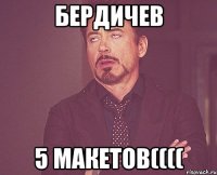 бердичев 5 макетов((((