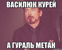 Василюк курей а Гураль метан