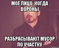 Моё лицо, когда вороны разбрасывают мусор по участку