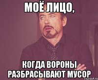 Моё лицо, когда вороны разбрасывают мусор