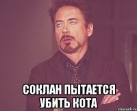  Соклан пытается убить кота