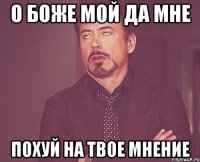 о боже мой да мне похуй на твое мнение