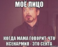 моё лицо когда мама говорит, что ксенармия - это секта