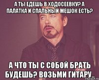 А ты едешь в ходосеевку? А палатка и спальный мешок есть? А что ты с собой брать будешь? Возьми гитару..