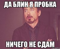 Да блин я пробка Ничего не сдам