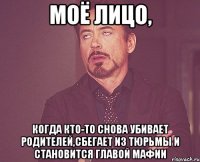 моё лицо, когда кто-то снова убивает родителей,сбегает из тюрьмы и становится главой мафии