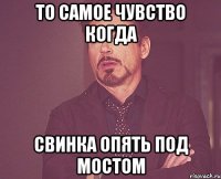 то самое чувство когда свинка опять под мостом