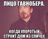 Лицо гавнобера, Когда упоротый строит дом из спичек