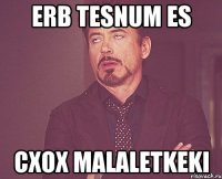 erb tesnum es cxox malaletkeki