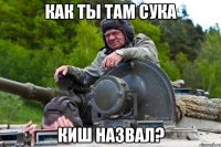 как ты там сука КиШ назвал?