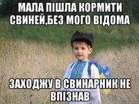 Мала пішла кормити свиней,без мого відома заходжу в свинарник не впізнав