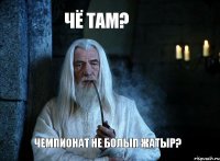 Чё там? чемпионат не болып жатыр?