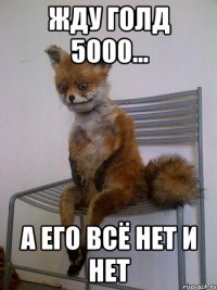 Жду Голд 5000... А его Всё нет и нет