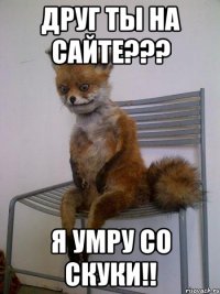 друг ты на сайте??? я умру со скуки!!