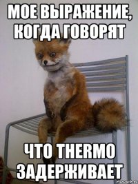 мое выражение, когда говорят что Thermo задерживает