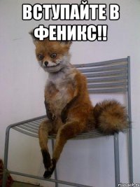 ВСТУПАЙТЕ В ФЕНИКС!! 