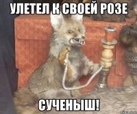 улетел к своей розе сученыш!