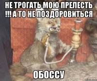 Не трогать мою прелесть !!! А то не поздоровиться Обоссу