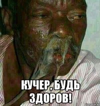  Кучер, будь здоров!