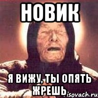 НОВИК Я ВИЖУ, ТЫ ОПЯТЬ ЖРЕШЬ