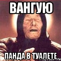 вангую панда в туалете