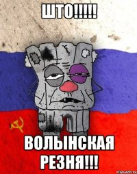 ШТО!!!!! Волынская резня!!!