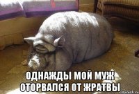  однажды мой муж оторвался от жратвы
