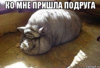 ко мне пришла подруга 