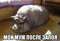  мой муж после запоя