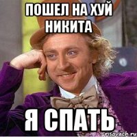 пошел на хуй никита я спать