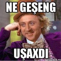 ne geşeng uşaxdi
