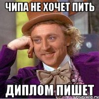 Чипа не хочет пить Диплом пишет