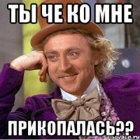 ТЫ ЧЕ КО МНЕ ПРИКОПАЛАСЬ??