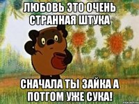 любовь это очень странная штука сначала ты зайка а потгом уже сука!