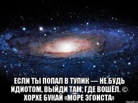  Если ты попал в тупик — не будь идиотом, выйди там, где вошёл. © Хорхе Букай «Море Эгоиста»