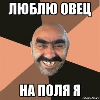 Люблю овец На поля я