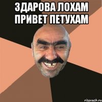 здарова лохам привет петухам 