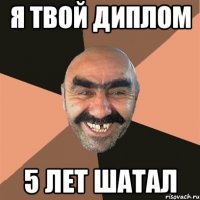 Я ТВОЙ ДИПЛОМ 5 ЛЕТ ШАТАЛ