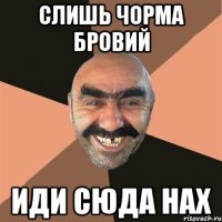 слишь чорма бровий иди сюда нах