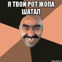 я твой рот жопа шатал 