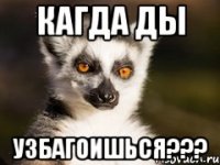 Кагда ды Узбагоишься???