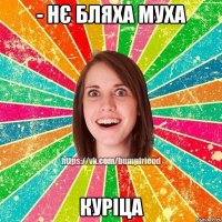 - Нє бляха муха Куріца