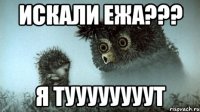 Искали ежа??? Я туууууууут