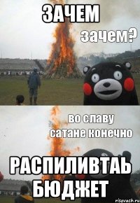 зачем распиливтаь бюджет