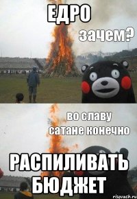 ЕДРО распиливать бюджет